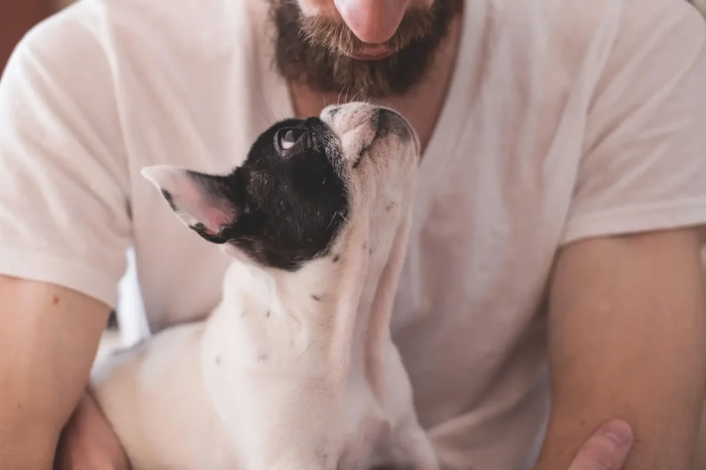 Viajar con una mascota: una experiencia enriquecedora para ambos