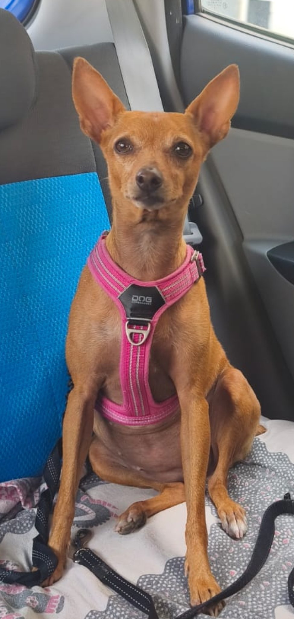 1000154629